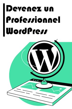 Devenez un Professionnel WordPress en 10 Jours !